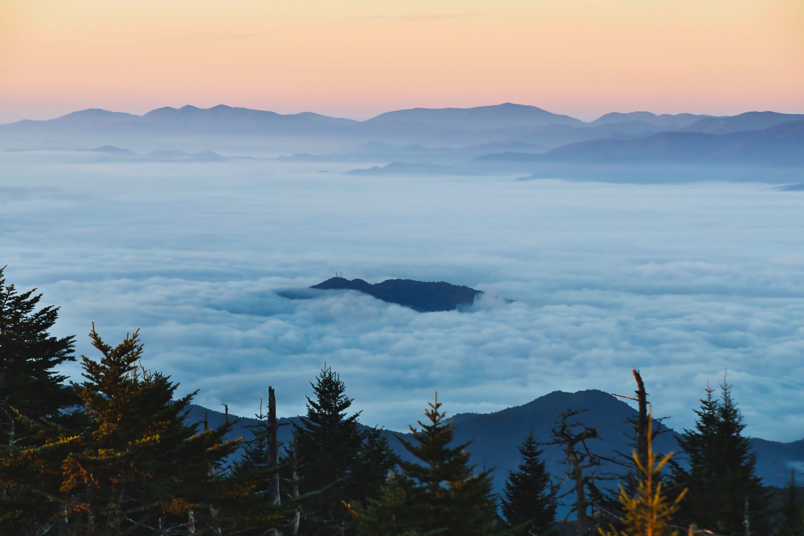 いまから始めるあなたのために